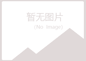 平远县夏青建设有限公司